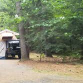 Review photo of Quechee State Park Campground by Jean C., October 26, 2021