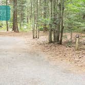 Review photo of Quechee State Park Campground by Jean C., October 26, 2021