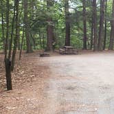 Review photo of Quechee State Park Campground by Jean C., October 26, 2021