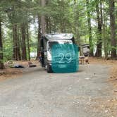 Review photo of Quechee State Park Campground by Jean C., October 26, 2021