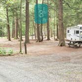 Review photo of Quechee State Park Campground by Jean C., October 26, 2021