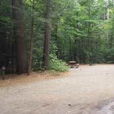 Review photo of Quechee State Park Campground by Jean C., October 26, 2021