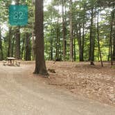 Review photo of Quechee State Park Campground by Jean C., October 26, 2021