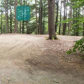 Review photo of Quechee State Park Campground by Jean C., October 26, 2021