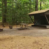 Review photo of Quechee State Park Campground by Jean C., October 26, 2021