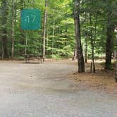 Review photo of Quechee State Park Campground by Jean C., October 26, 2021