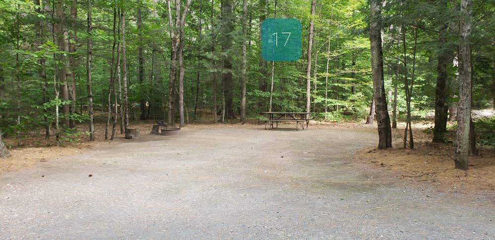 Camper submitted image from Quechee State Park Campground - 5