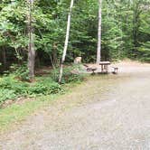 Review photo of Quechee State Park Campground by Jean C., October 26, 2021