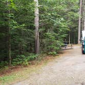 Review photo of Quechee State Park Campground by Jean C., October 26, 2021