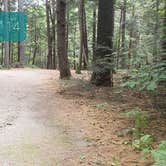 Review photo of Quechee State Park Campground by Jean C., October 26, 2021