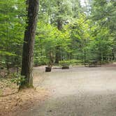 Review photo of Quechee State Park Campground by Jean C., October 26, 2021