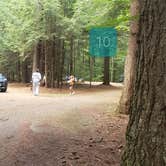 Review photo of Quechee State Park Campground by Jean C., October 26, 2021