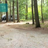 Review photo of Quechee State Park Campground by Jean C., October 26, 2021