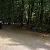 Review photo of Quechee State Park Campground by Jean C., October 26, 2021