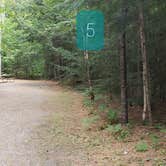 Review photo of Quechee State Park Campground by Jean C., October 26, 2021