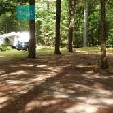 Review photo of Quechee State Park Campground by Jean C., October 26, 2021