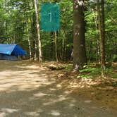 Review photo of Quechee State Park Campground by Jean C., October 26, 2021