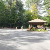 Review photo of Quechee State Park Campground by Jean C., October 26, 2021