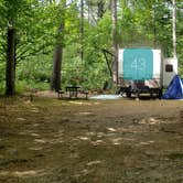 Review photo of Quechee State Park Campground by Jean C., October 26, 2021