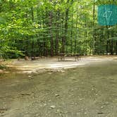 Review photo of Quechee State Park Campground by Jean C., October 26, 2021