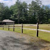 Review photo of Quechee State Park Campground by Jean C., October 26, 2021