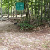 Review photo of Wilderness Edge Campground by Jean C., October 26, 2021