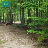 Review photo of Wilderness Edge Campground by Jean C., October 26, 2021