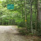 Review photo of Wilderness Edge Campground by Jean C., October 26, 2021