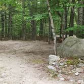 Review photo of Wilderness Edge Campground by Jean C., October 26, 2021