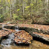 Review photo of Mash Fork Campground — Camp Creek State Park by Julie B., October 26, 2021