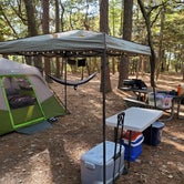 Review photo of Kiptopeke State Park Campground by bobmac , October 26, 2021