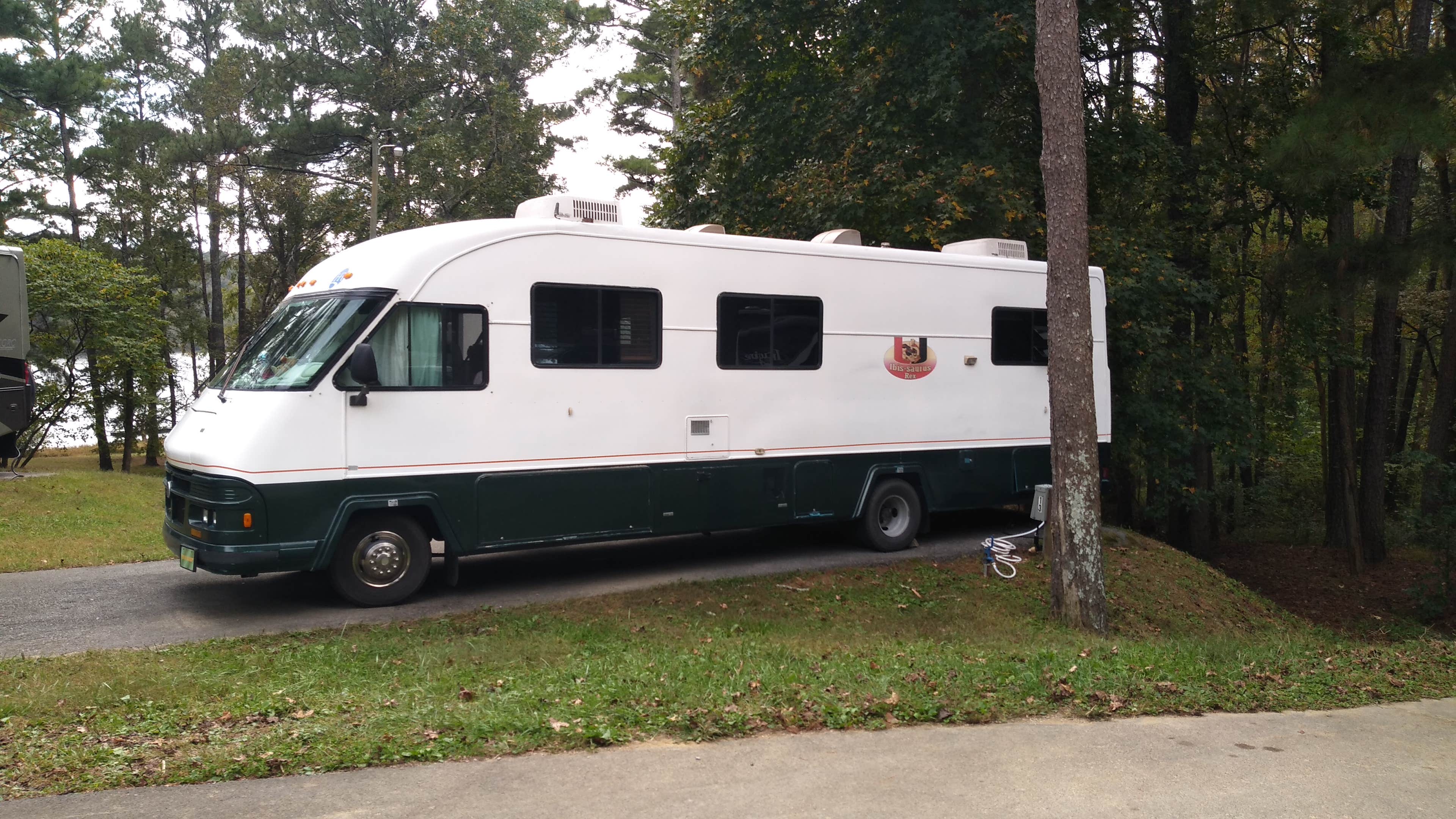 Camper submitted image from Salacoa Creek Park - 3