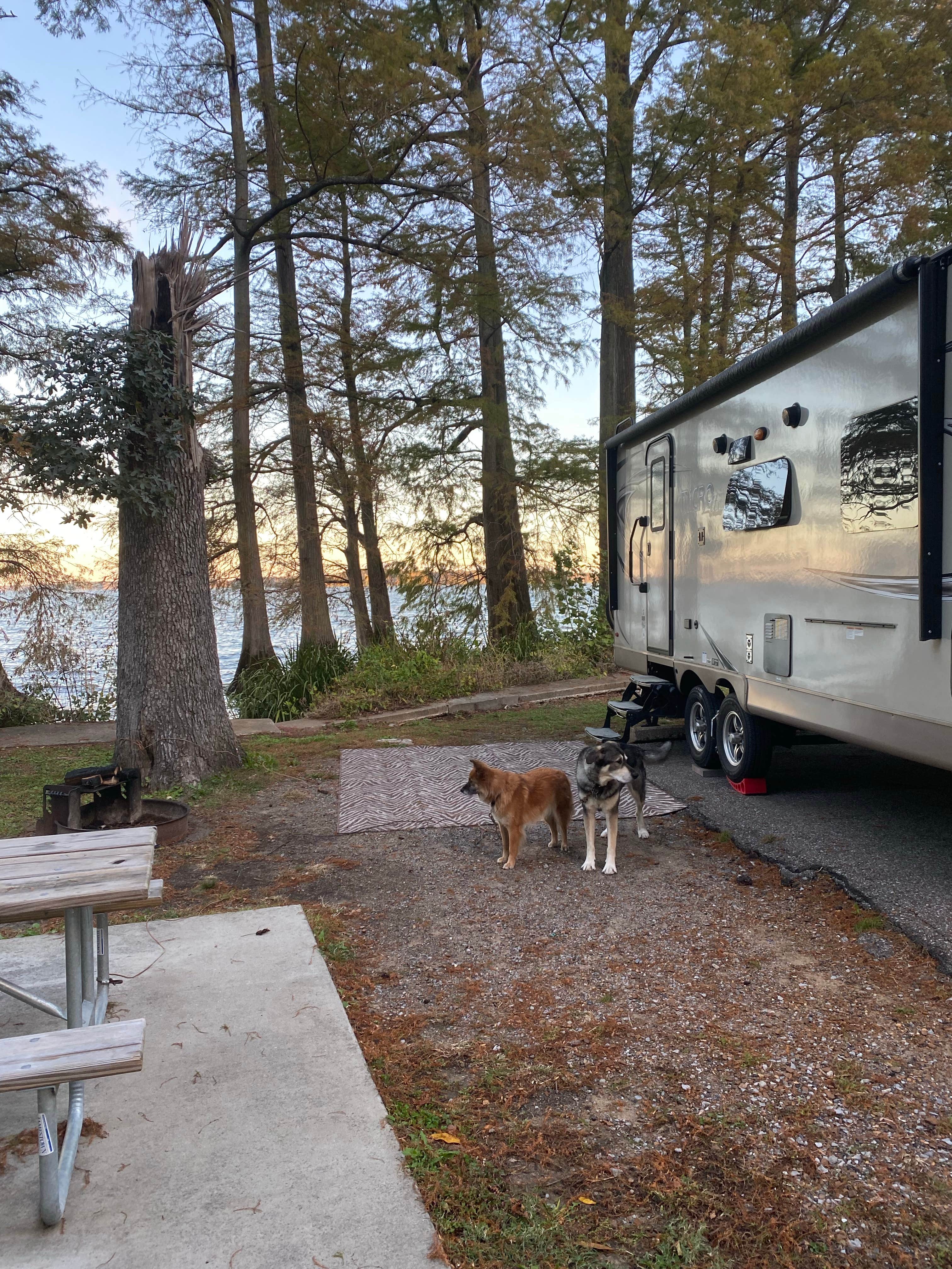 Jan K.'s photo of rv camping at Airpark North Campground — Reelfoot Lake State Park near Troy, TN