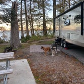 Review photo of Reelfoot Lake Campgrounds — Reelfoot Lake State Park by Jan K., October 26, 2021