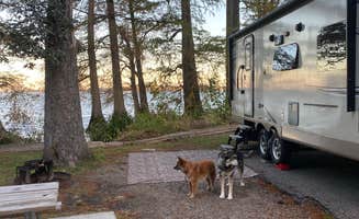 Jan K.'s photo of rv camping at Airpark North Campground — Reelfoot Lake State Park near Tiptonville, TN