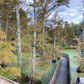 Review photo of Airpark North Campground — Reelfoot Lake State Park by Jan K., October 26, 2021