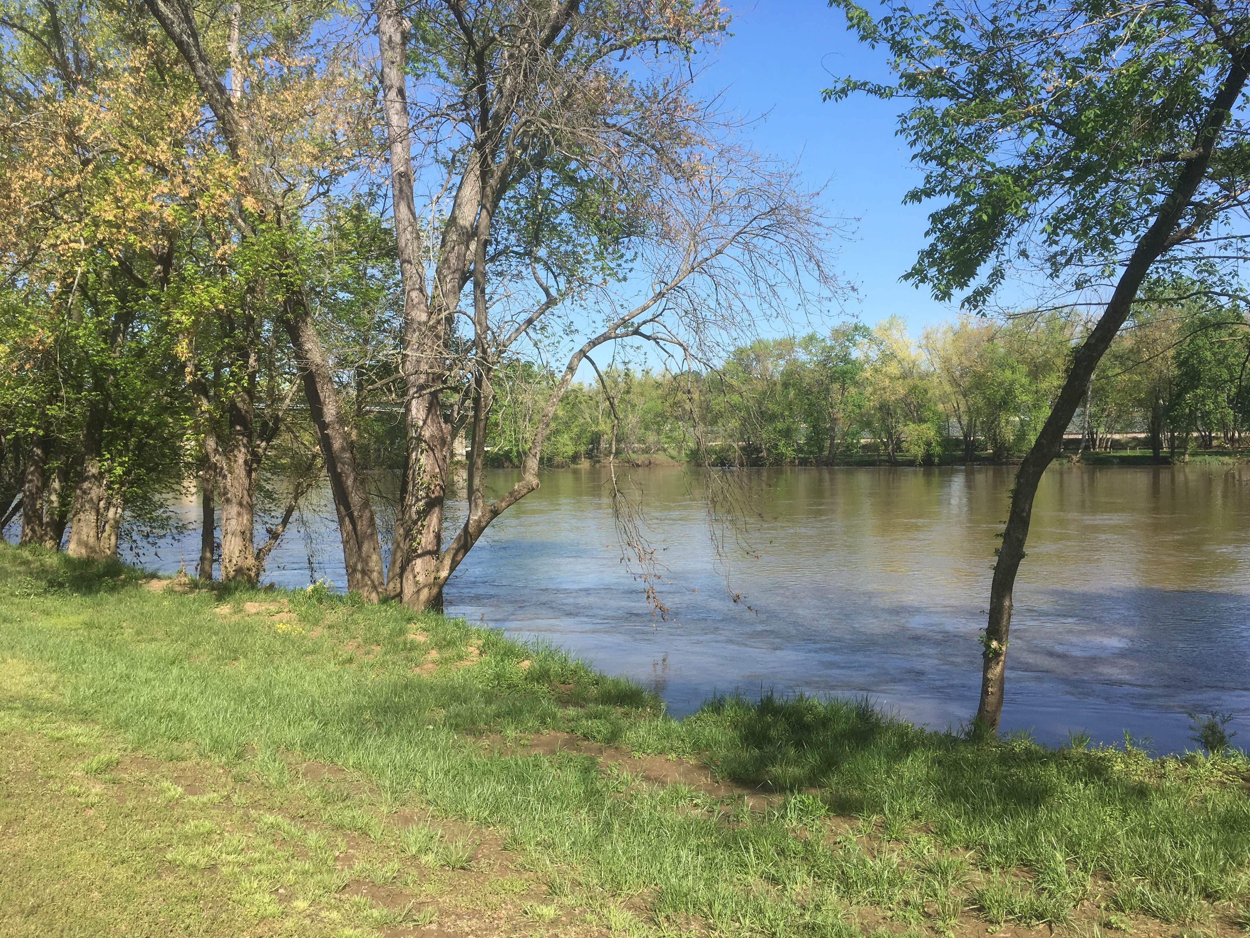 Camper submitted image from Horseshoe Flats - 5