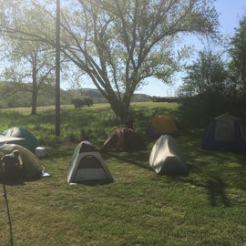 Cluster of tents on the east side of the campground.