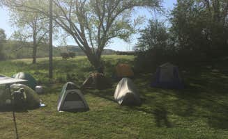 Rob U.'s photo at Horseshoe Flats Campground near Amelia Court House, VA