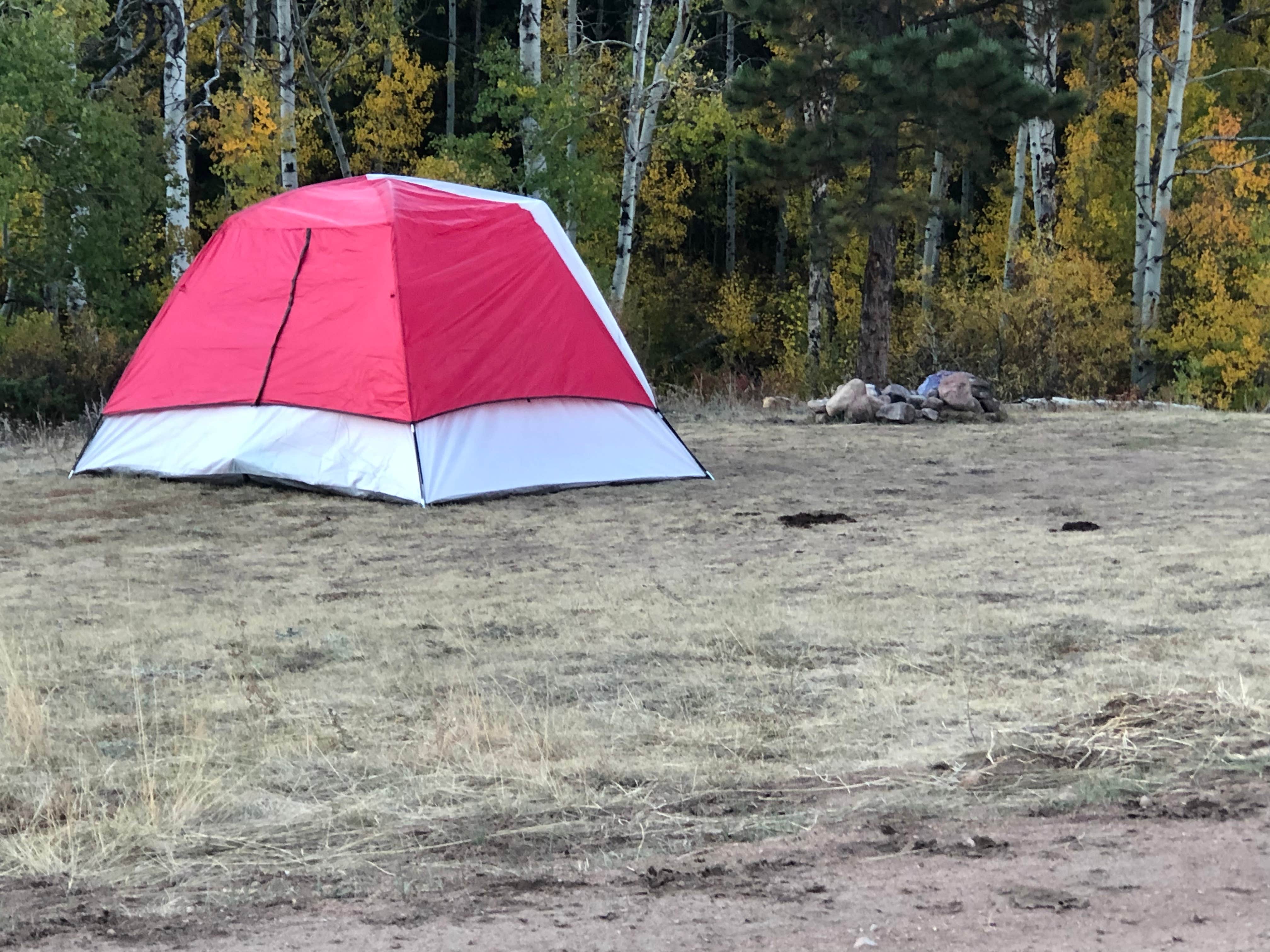 Camper submitted image from Arapaho and Roosevelt National Forest Dispersed Camping - 5