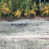 Review photo of Arapaho and Roosevelt National Forest Dispersed Camping by N I., October 17, 2021