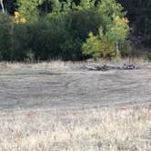 Review photo of Arapaho and Roosevelt National Forest Dispersed Camping by N I., October 17, 2021