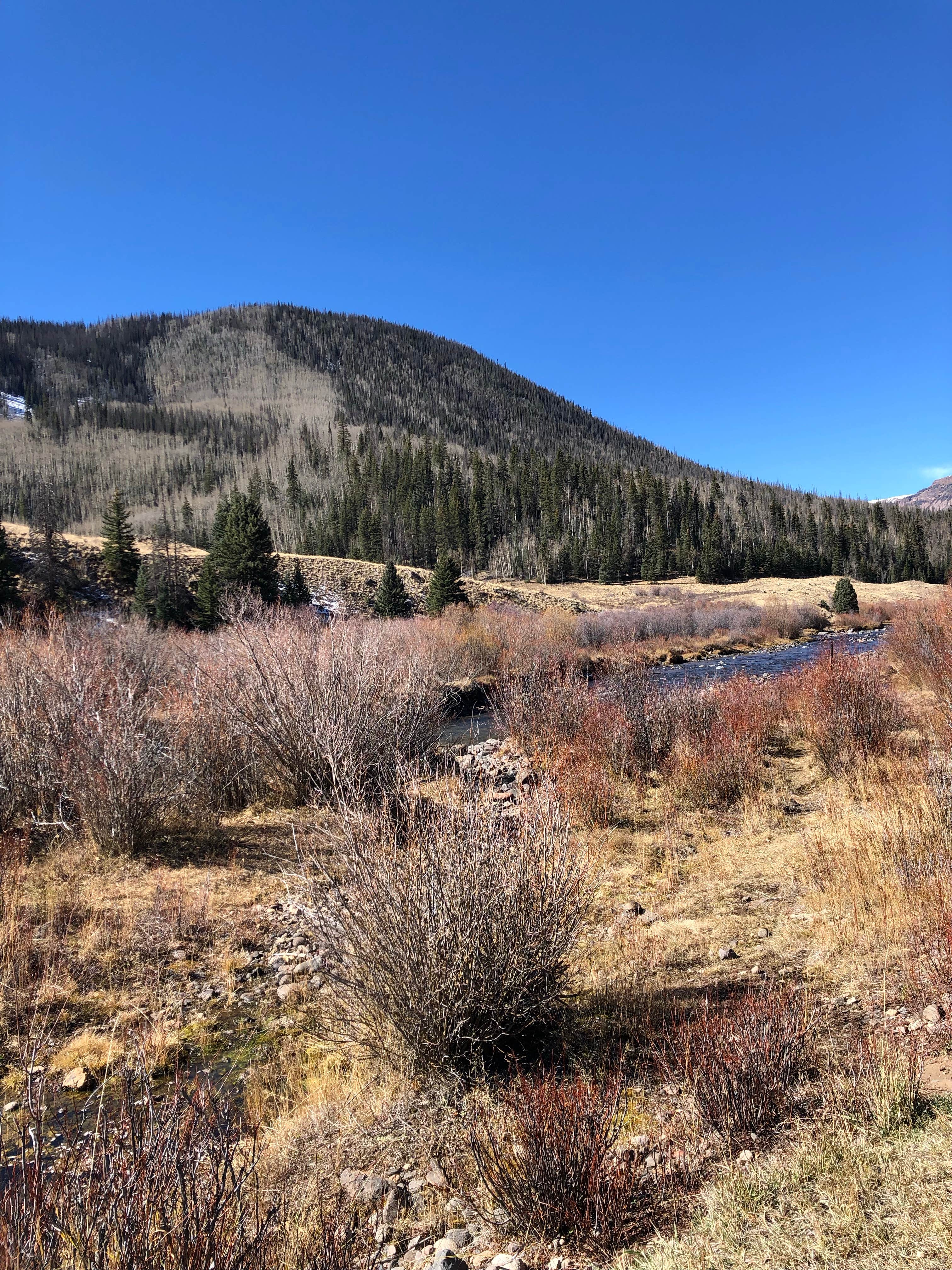 Camper submitted image from Ute Creek Trailhead #819 - 1