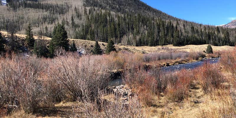 Camper submitted image from Ute Creek Trailhead #819