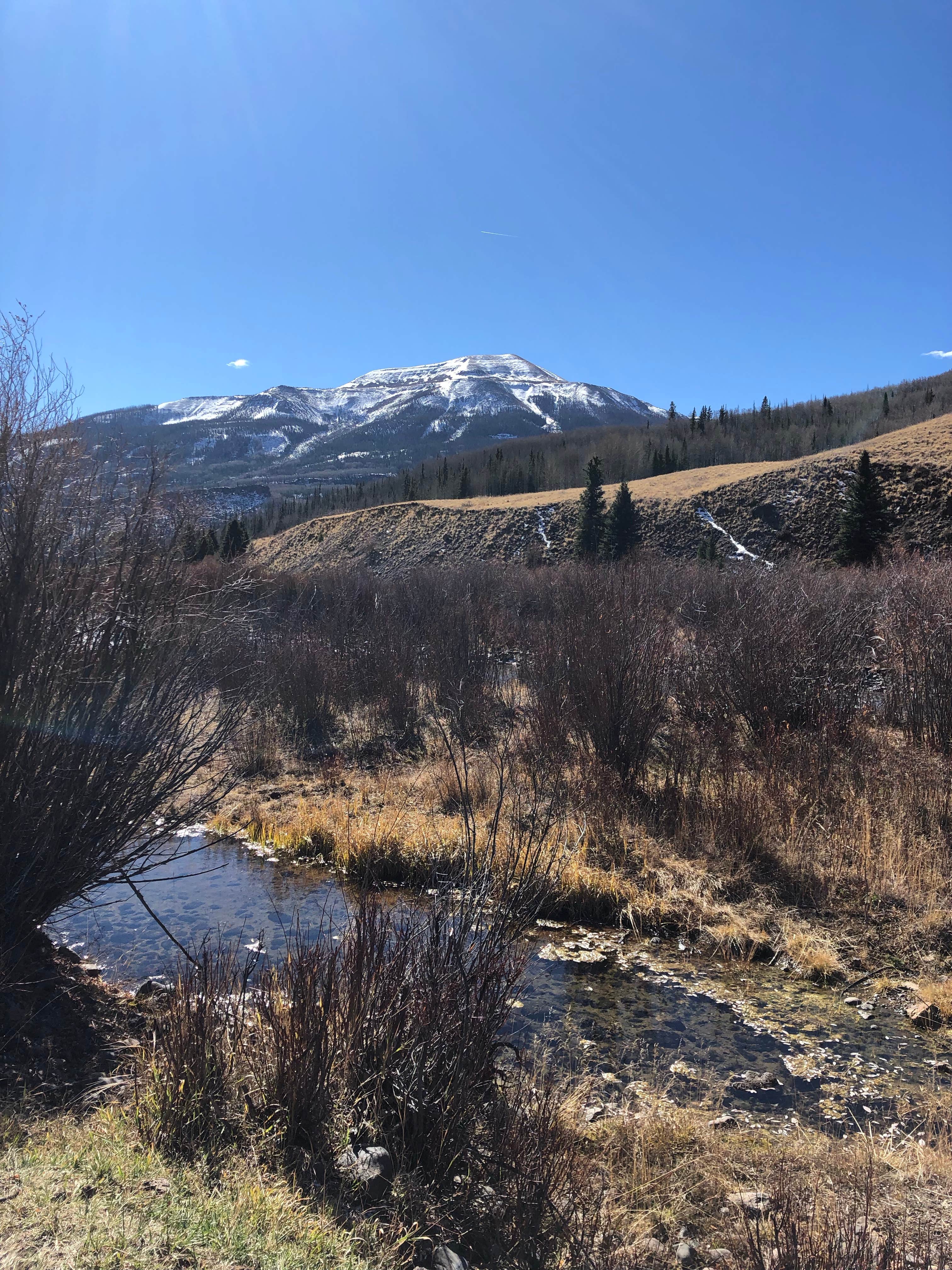 Camper submitted image from Ute Creek Trailhead #819 - 3