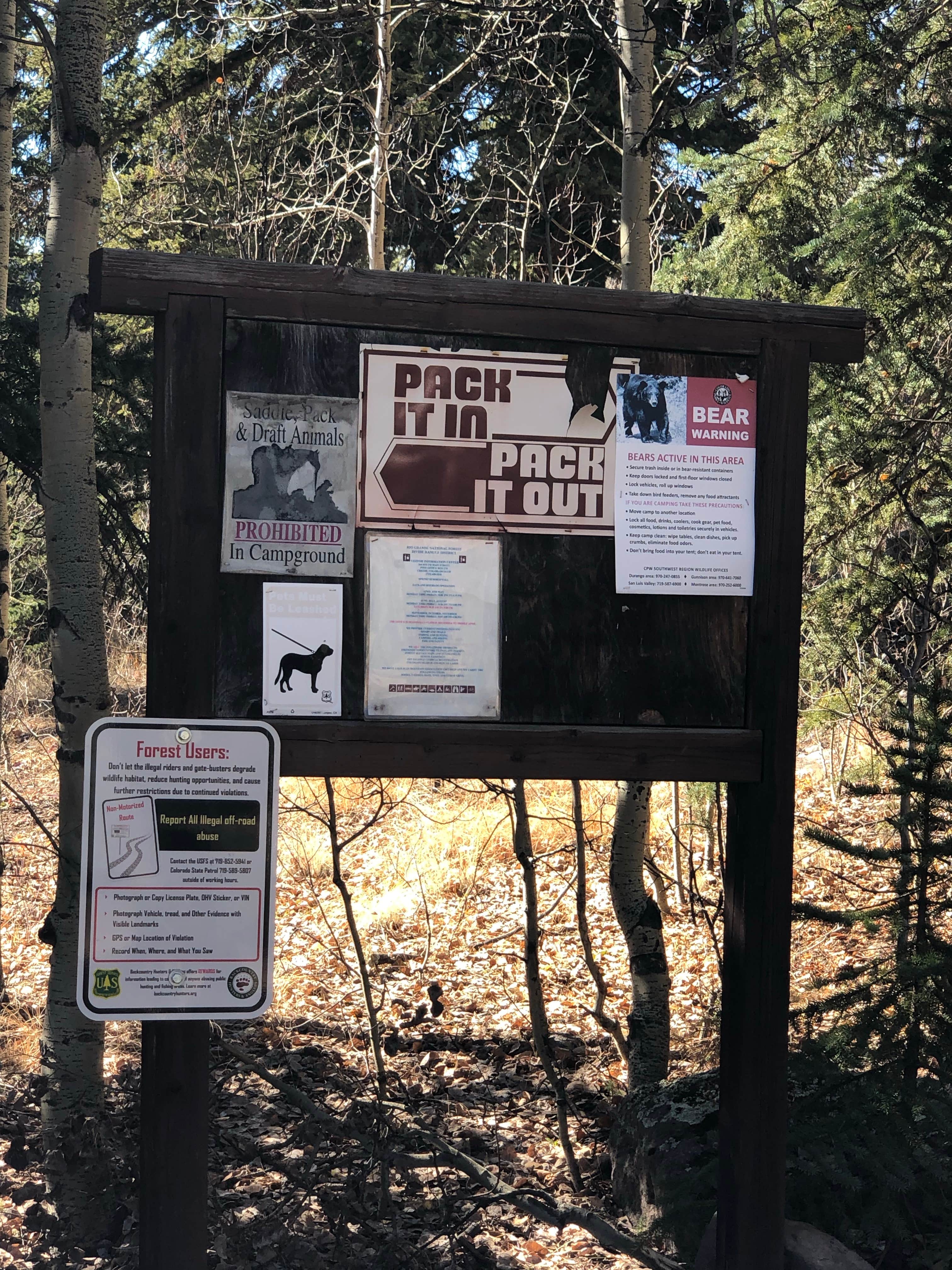 Camping near Thirtymile Campground: Lost Trail, Silverton, Colorado