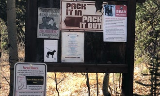 Camping near Ute Creek Trailhead #819: Lost Trail, Silverton, Colorado