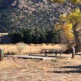 Review photo of Vallie Bridge Campground by N I., October 26, 2021