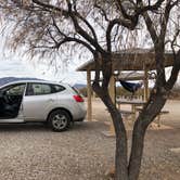 Review photo of Three Rivers Petroglyph Site by Hayley K., October 26, 2021