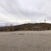 Review photo of Three Rivers Petroglyph Site by Hayley K., October 26, 2021